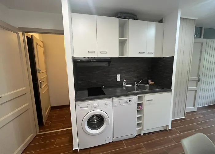 Apartment 6 Pers, Chatel, Avec Parking Et Wifi - Fr-1-198-267 *